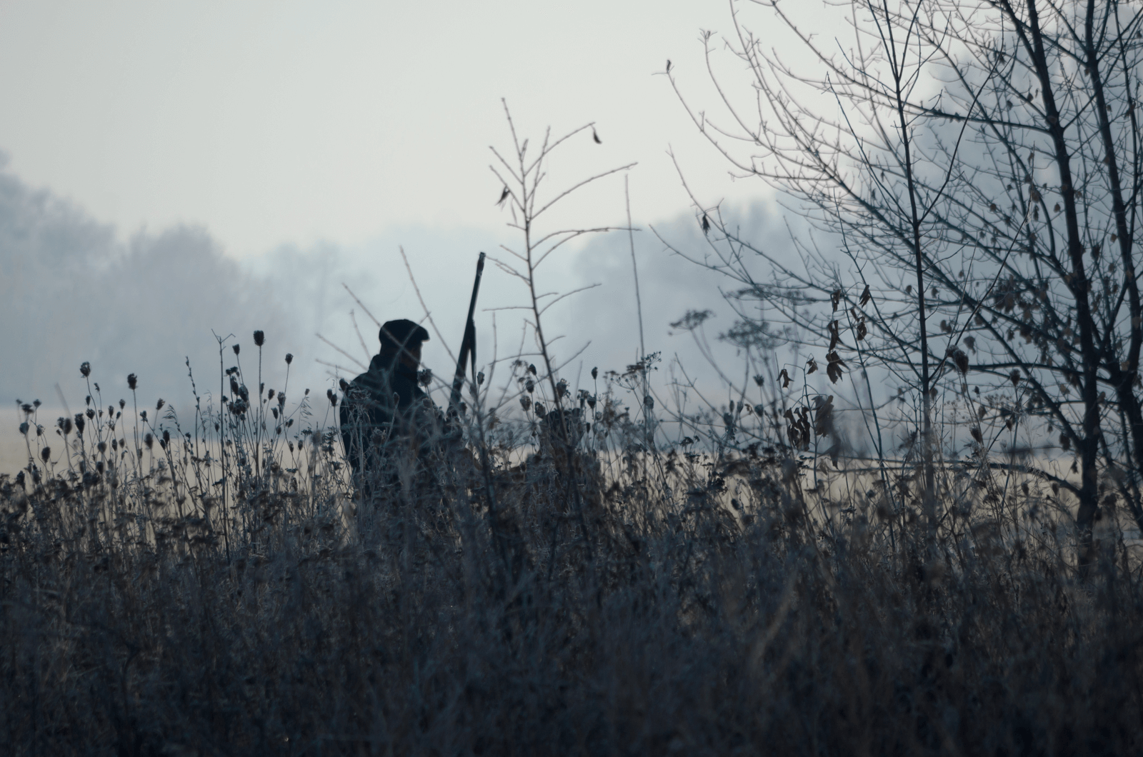 Das Foto zeigt einen Jäger mit seinem Hund, welche hinter einer Böschung stehen. Der Blick des Jägers ist auf das weite Feld im Hintergrund gelegt. Er steht mit dem Rücken zum Betrachter. Der Hund ebenso. Der Jäger hält ein Gewehr in seiner Hand, dessen Schaft zu erkennen ist. Im Hintergrund, hinter dem Feld ist durch den Nebel ein Wald zu erkennen.